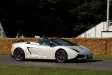 2011-goodwood-festival-of-speed.7948