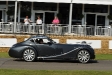 2011-goodwood-festival-of-speed.7971