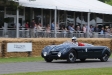 2011-goodwood-festival-of-speed.8431