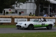 2011-goodwood-festival-of-speed.8491