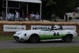 2011-goodwood-festival-of-speed.8492