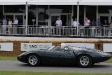 2011-goodwood-festival-of-speed.8508