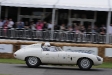 2011-goodwood-festival-of-speed.8595
