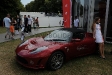 2011-goodwood-festival-of-speed.8666