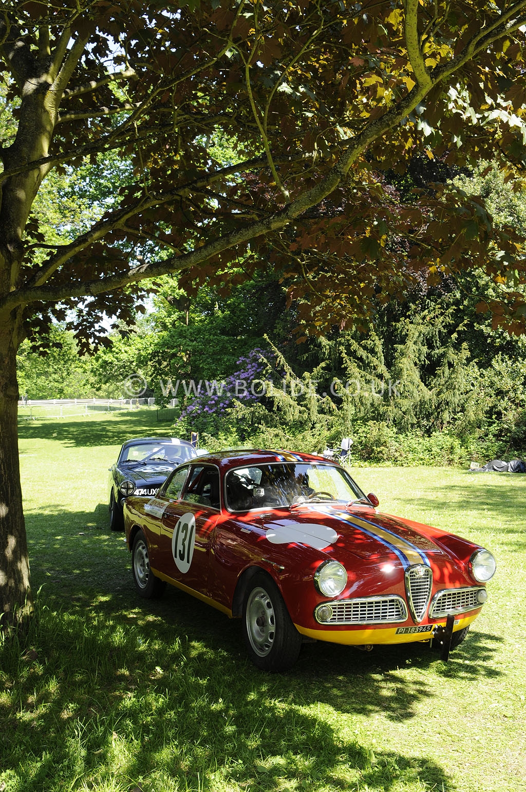 2012-motorsport-at-the-palace-day-2-6800